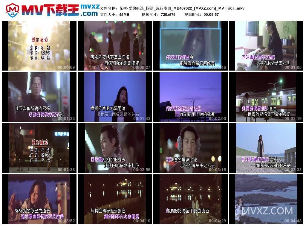 花树-爱的痕迹_国语_流行歌曲_MB407022